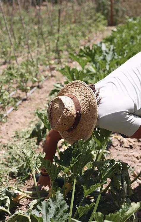 El corazón de nuestra cocina